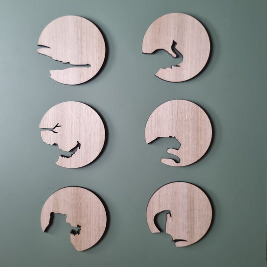 Cutout coasters - Asian Animals